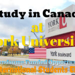 York University Scholarships to Study in Canada, All International Students Can Apply