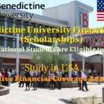 Benedictine University Financial Aid (Scholarships) for International Students in United States of America