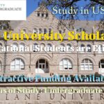 Tulane University Scholarships for Undergraduate Programs to Study in USA