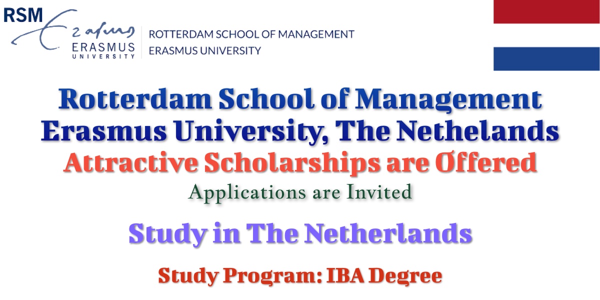 RSM non-EEA Scholarship of Excellence (IBA) - Higher Funding