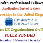 Commonwealth Professional Fellowships 2025 Announced in the UK (Fully Funded)