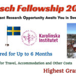 Hirsch Fellowship 2026 in Sweden (Highest Grant Available)