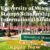 University of Miami Stamps Scholarship