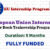 European Union Internship
