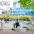 IESEG School of Management Scholarship