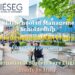 IESEG School of Management Scholarship