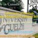 Ellen Nilsen Memorial Graduate Scholarship