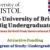 Think Big Undergraduate Award