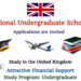 International Undergraduate Scholarships